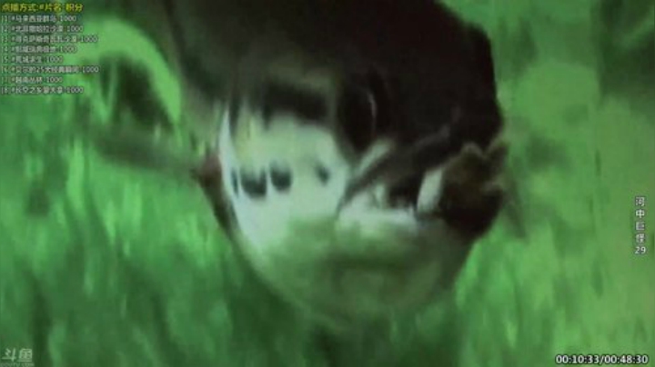 【科普】酷炫你你你的精彩时刻 20200920 16点场