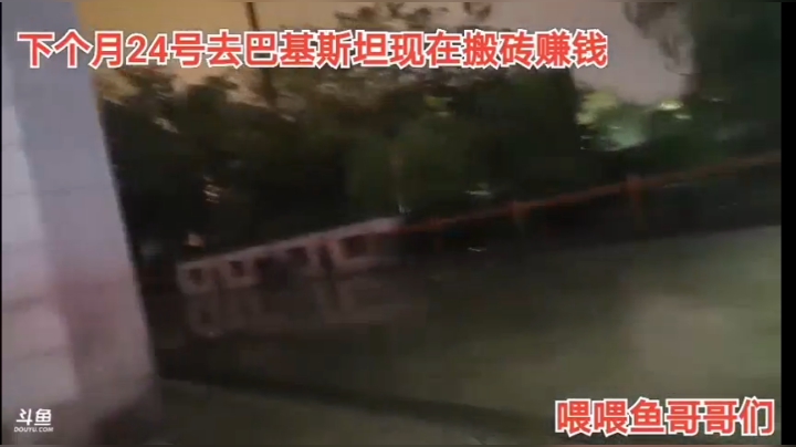 9.21早睡早起吧