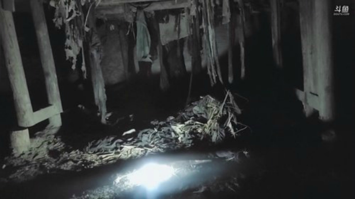 【户外】叶子户外的精彩时刻 20200921 01点场