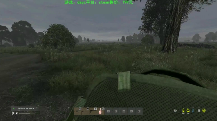dayz (hardcore极限生存） 2020-09-20 14点场