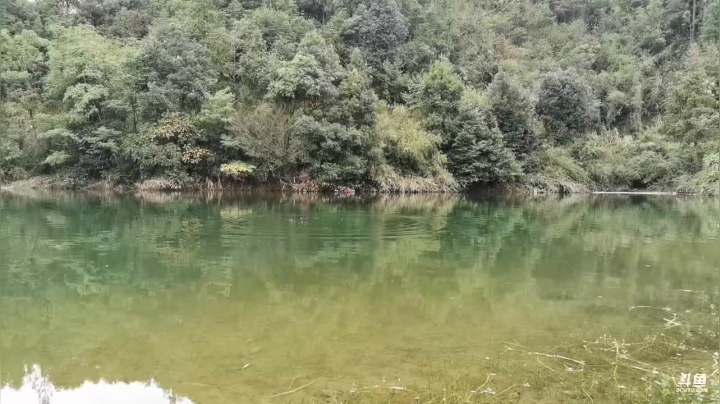 水库野钓， 2020-09-21 16点场