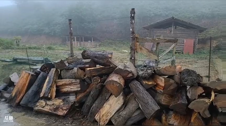 《纪实直播》云南边境行18天丙中洛 2020-09-22 18点场