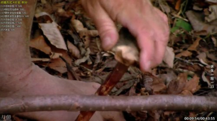 【科普】酷炫你你你的精彩时刻 20200922 10点场