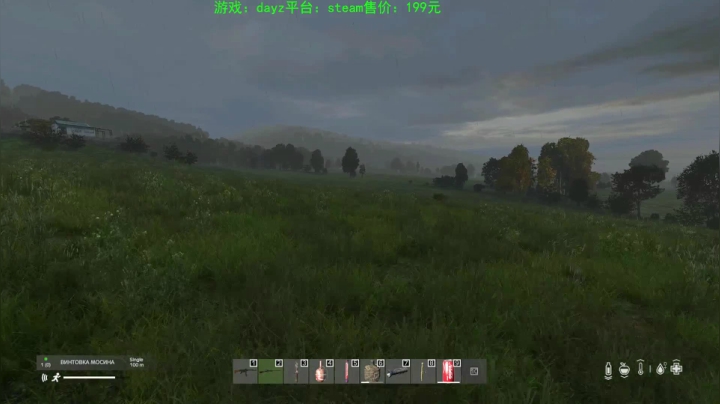 dayz (hardcore极限生存） 2020-09-21 19点场