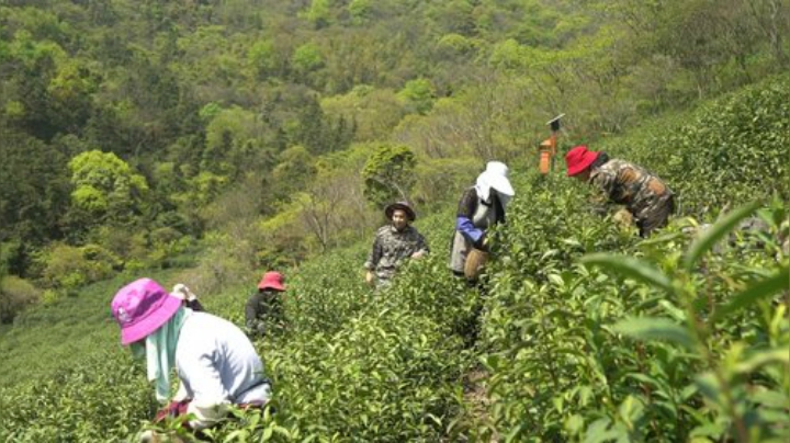 我在斗鱼看YESHI小哥直播美食