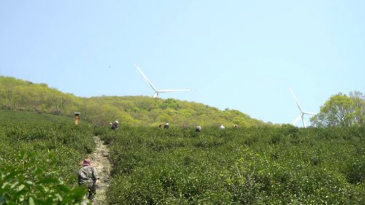 【美食】YESHI小哥的精彩时刻 20200923 09点场