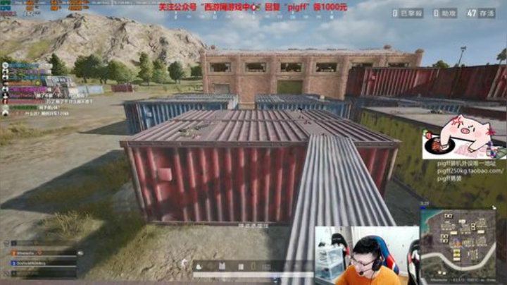我在斗鱼看pigff直播绝地求生
