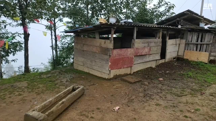 《纪实直播》云南边境行20天怒江鲁泡村 2020-09-24 10点场