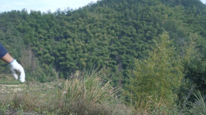 我在斗鱼看YESHI小哥直播美食