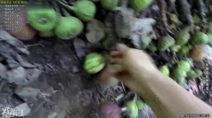 【科普】酷炫你你你的精彩时刻 20200924 08点场