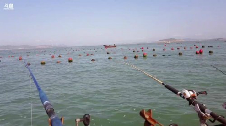 【美食】威海高哥587997的精彩时刻 20200925 09点场