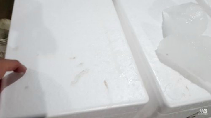 【美食】威海高哥587997的精彩时刻 20200925 00点场