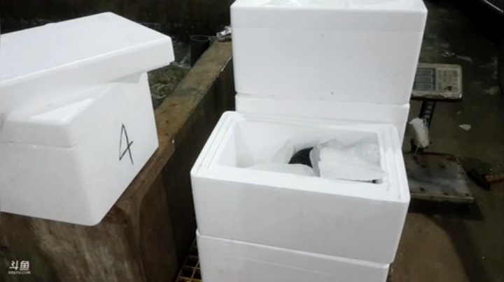 【美食】威海高哥587997的精彩时刻 20200925 00点场