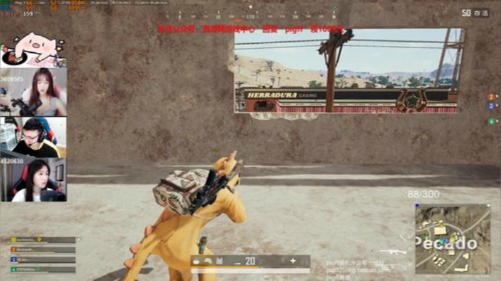 我在斗鱼看pigff直播绝地求生