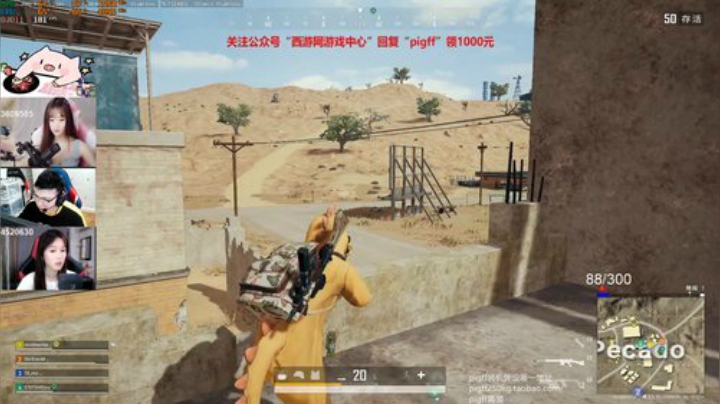 我在斗鱼看pigff直播绝地求生