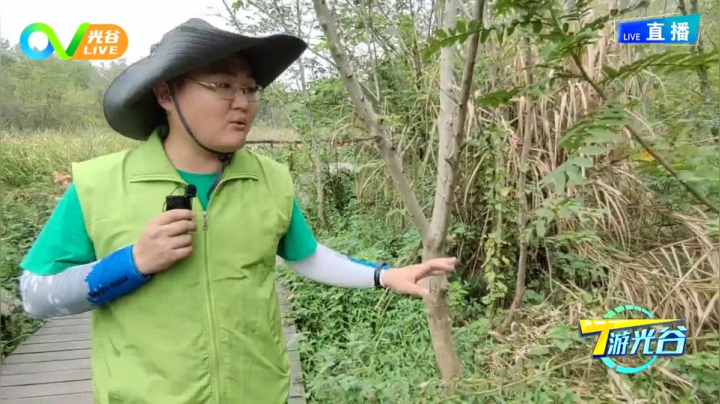 第十一周T游光谷之武汉文科生态田园0923