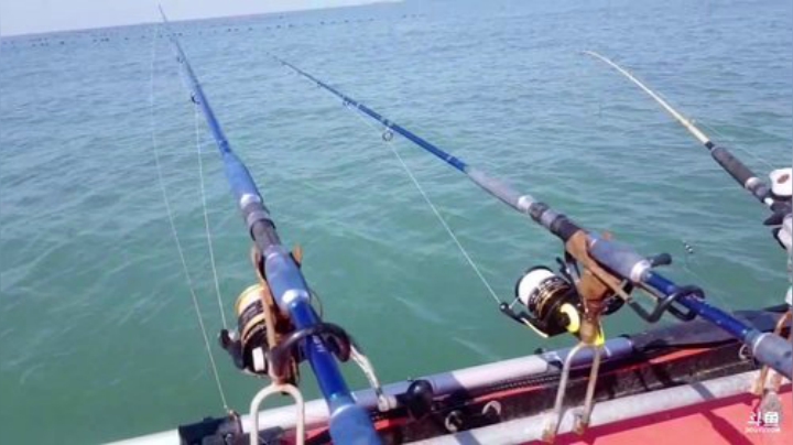 【美食】威海高哥587997的精彩时刻 20200925 09点场