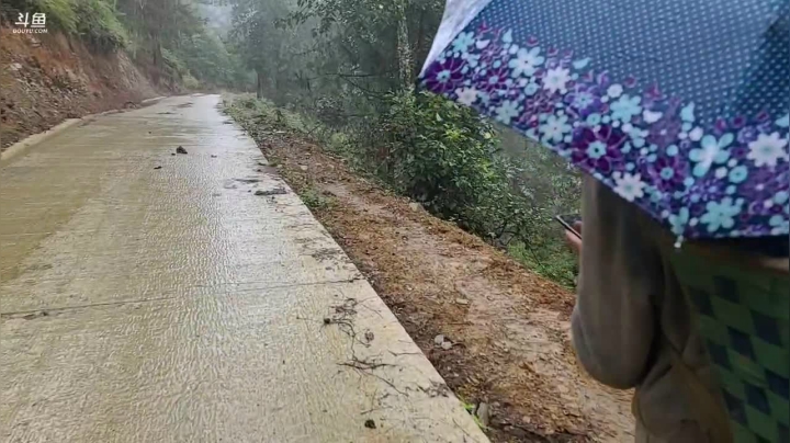 《纪实直播》云南边境行21天采野生菌 2020-09-25 12点场