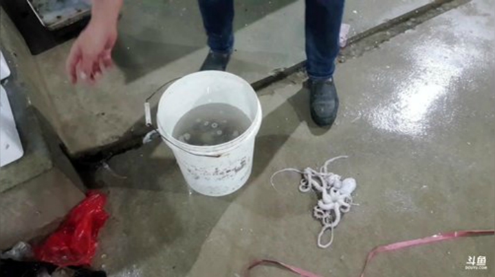 【美食】威海高哥587997的精彩时刻 20200925 00点场