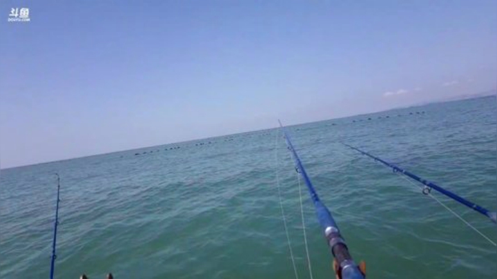 【美食】威海高哥587997的精彩时刻 20200925 09点场