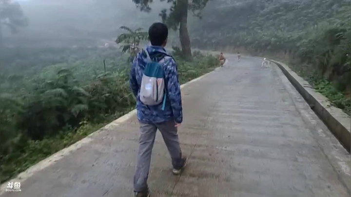 《纪实直播》云南边境行21天采野生菌 2020-09-25 18点场