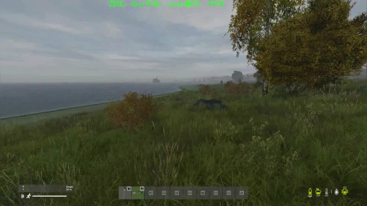 dayz (hardcore极限生存） 2020-09-25 16点场