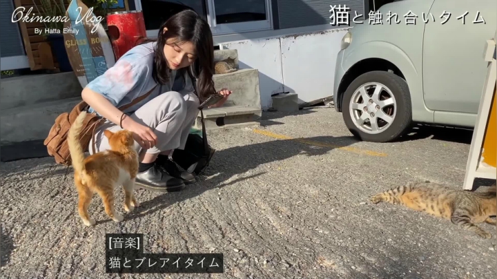 Emily的沖縄と千葉