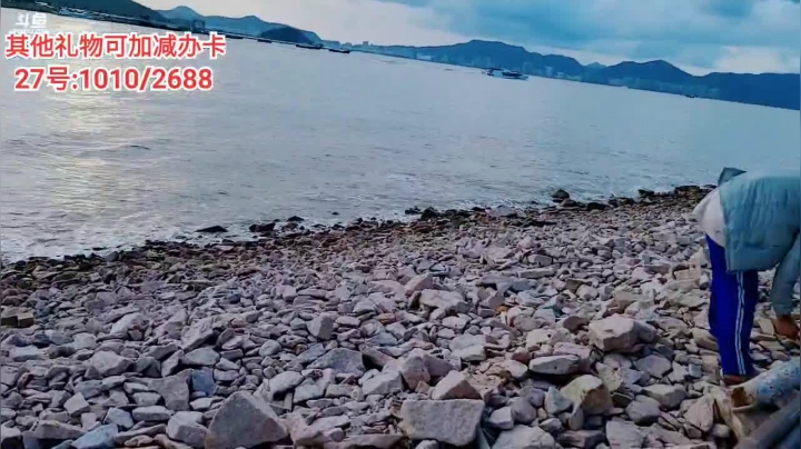 《荒岛奇遇记》Day11 2020-09-26 16点场