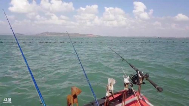 【美食】威海高哥587997的精彩时刻 20200926 10点场