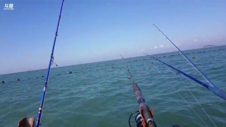 【美食】威海高哥587997的精彩时刻 20200926 08点场