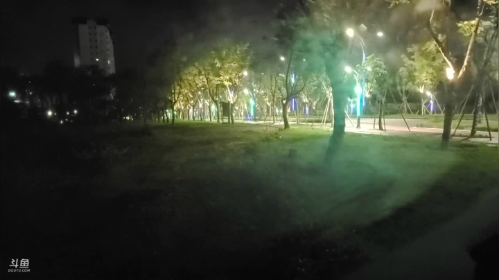 《纪实直播》云南边境行21天采野生菌 2020-09-25 22点场