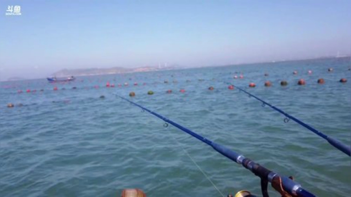 【美食】威海高哥587997的精彩时刻 20200926 08点场