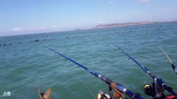 【美食】威海高哥587997的精彩时刻 20200926 09点场