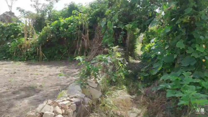 【美食】威海高哥587997的精彩时刻 20200927 11点场