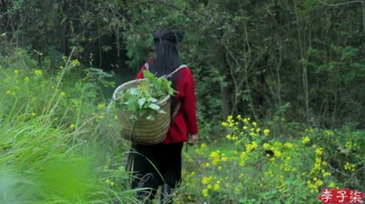 【美食】李子柒liziqi的精彩时刻 20200927 07点场