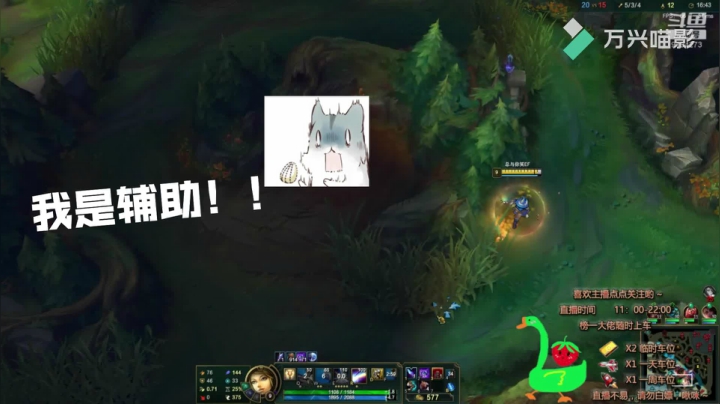 我只是一个辅助！！