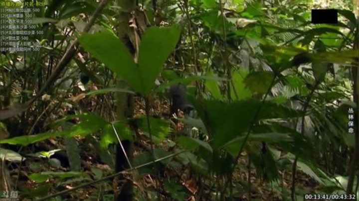 【科普】酷炫你你你的精彩时刻 20200927 06点场