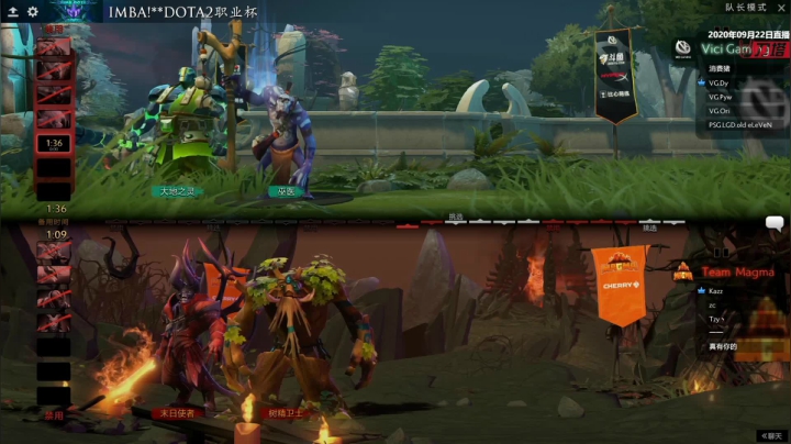 DOTA2职业杯 VG-Magma#1