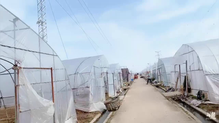 武汉妇女之家服务大比拼 7197277 2020-09-28 14点场