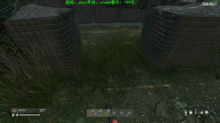 dayz (hardcore极限生存） 2020-09-28 16点场