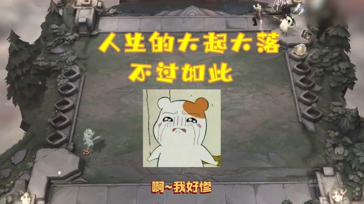 【山东棋王弈哥】云顶之弈S4：人生大起大落不过如此