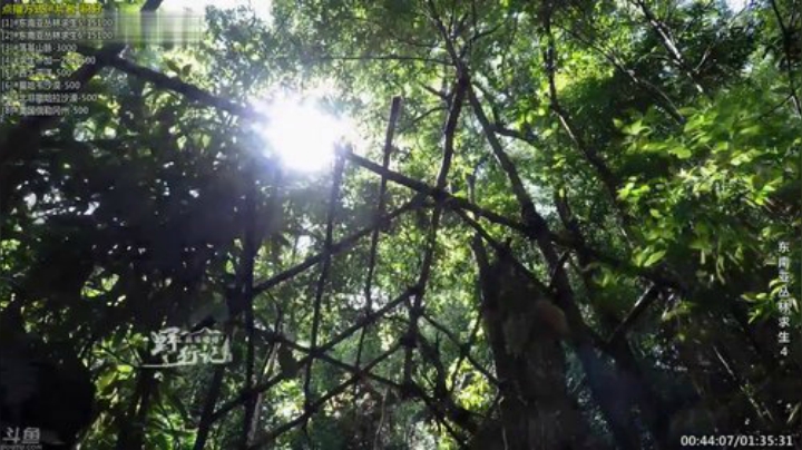 【科普】酷炫你你你的精彩时刻 20200928 07点场