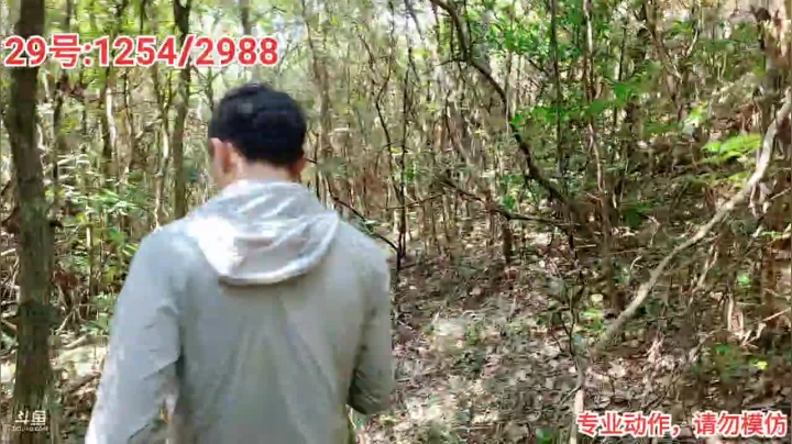 《荒岛奇遇记》Day13 2020-09-28 12点场