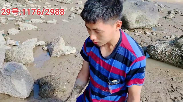 《荒岛奇遇记》Day13 2020-09-28 14点场