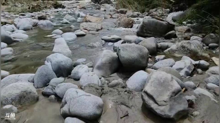 《纪实直播》云南边境行26天独龙乡 2020-09-29 12点场