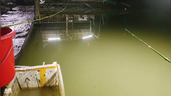 不上一条草鱼不下播。 2020-09-29 20点场