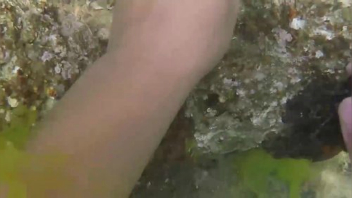 我在斗鱼看YESHI小哥直播美食