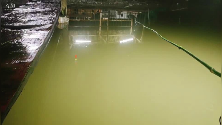 开心打野，快乐美食， 2020-09-29 18点场