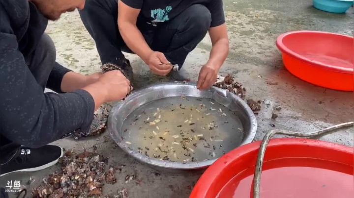 开心打野，快乐美食， 2020-09-29 15点场