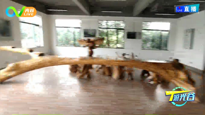 第十二周T游光谷之光谷半岛亲青乐园0928